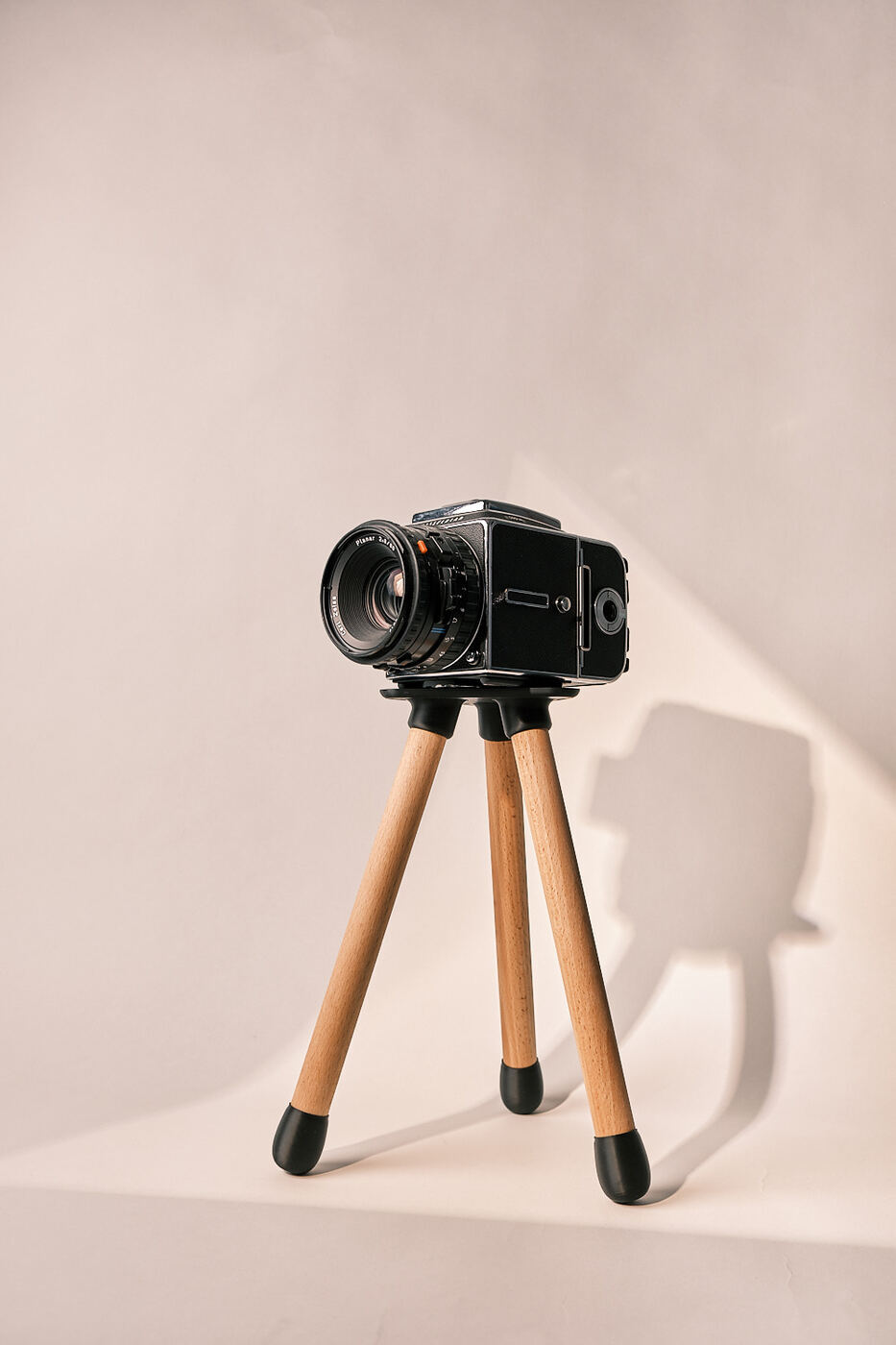 deltapod als Design-Podest und Pflanzenständer im Wohnzimmer – universell einsetzbar